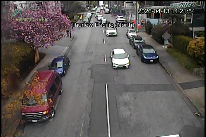 Thurlow St & Pacific St - N